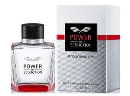power of seduction men 100ml